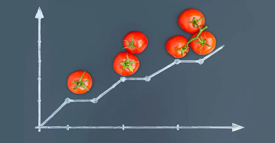 TOMATO INDUSTRY 2026: MARKET TRENDS, DEMAND & INNOVATION